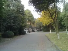 锦江花园别墅(图45) 维也纳森林别墅 4室2厅 南