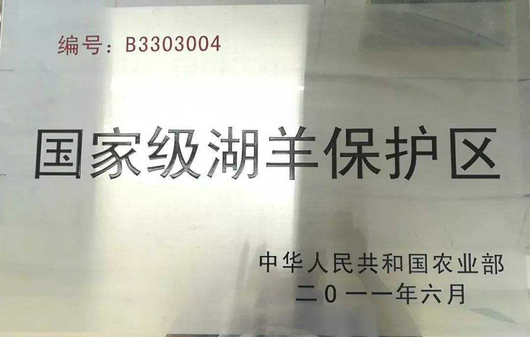 湖羊养殖成本_湖州湖羊起源_湖州湖羊地理标志