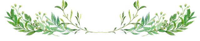 湖州湖羊起源_湖州湖羊地理标志_湖羊养殖成本