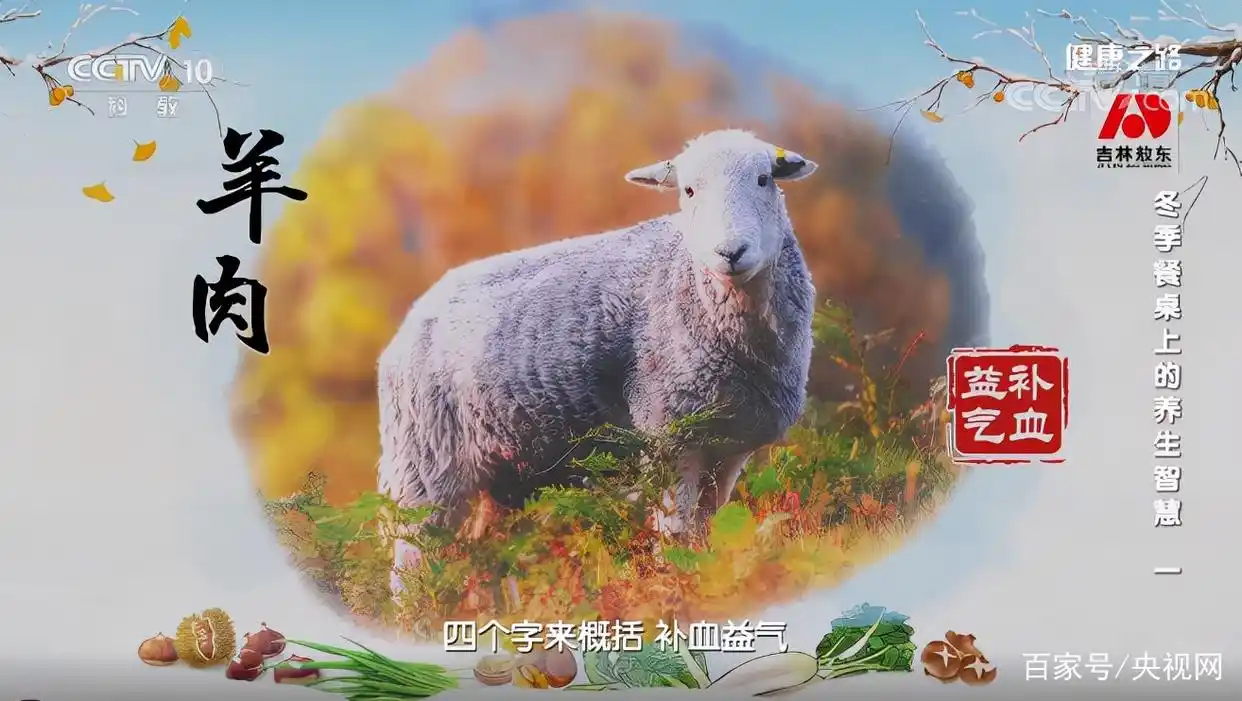 人间美味!羊肉配上几种辅料堪称一绝 多吃不上火(图1) 羊肉功效与作用_冬季养生羊肉汤_羊肉营养价值表