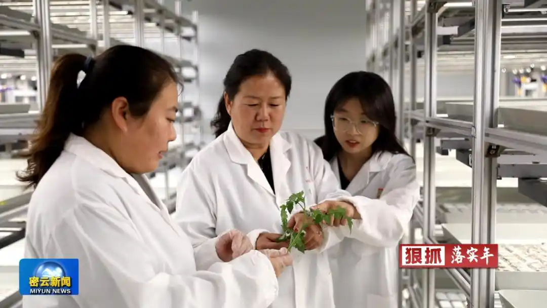 密云区科委精准服务科技企业_中小型科技企业_密云区科技型中小企业发展政策