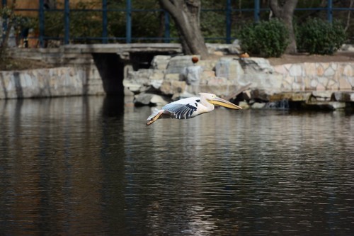 尼康数码单反摄影从_尼康D7100实战评测_70-200mm F4 VR镜头表现