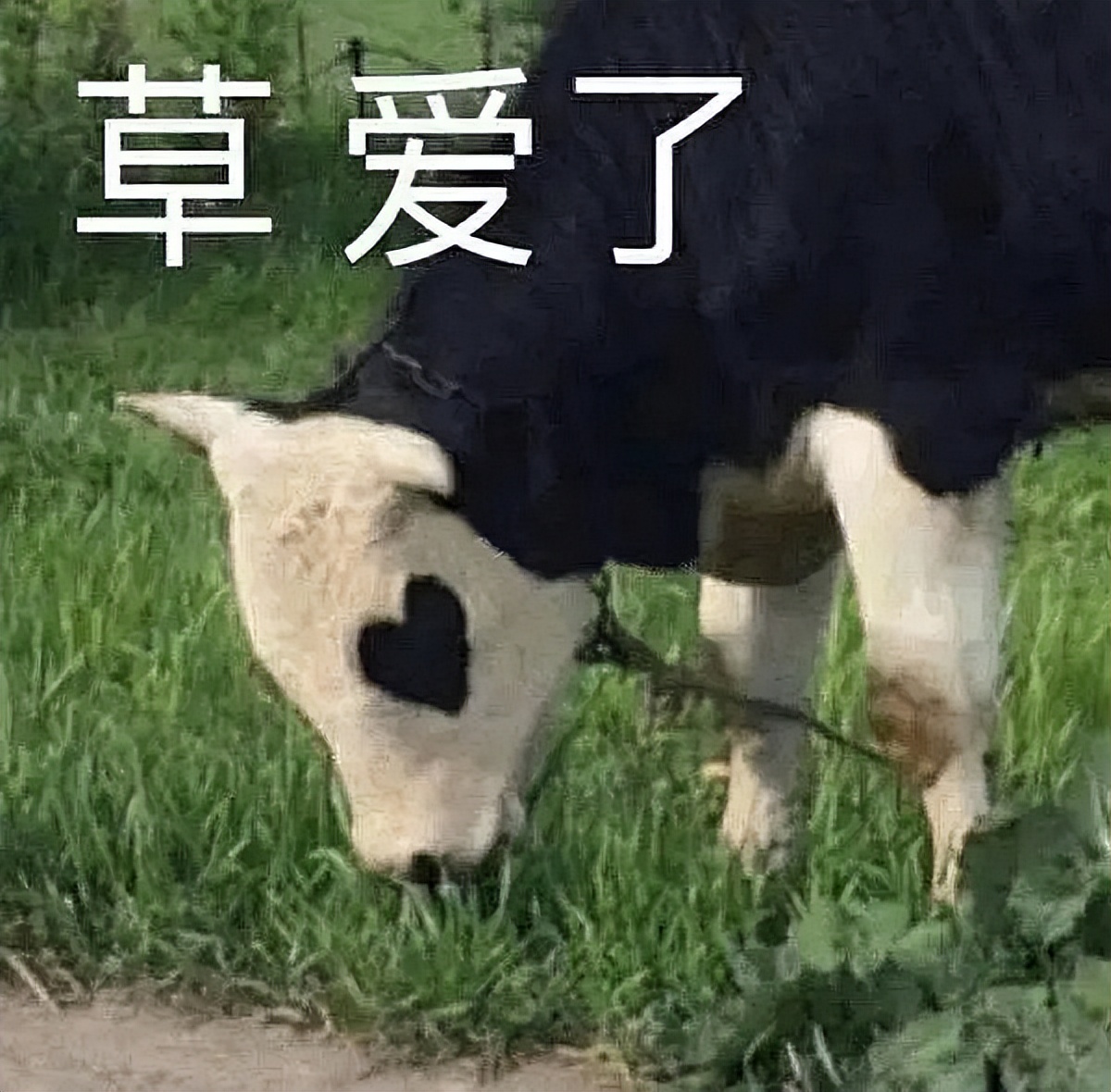 年轻人为什么不愿换手机了_华为系统云翻新_维亿数码港购 翻新