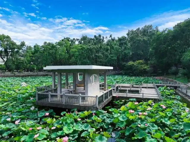 华中科技大学东校区_华科大2025年暑假时间安排_华科大暑期服务指南