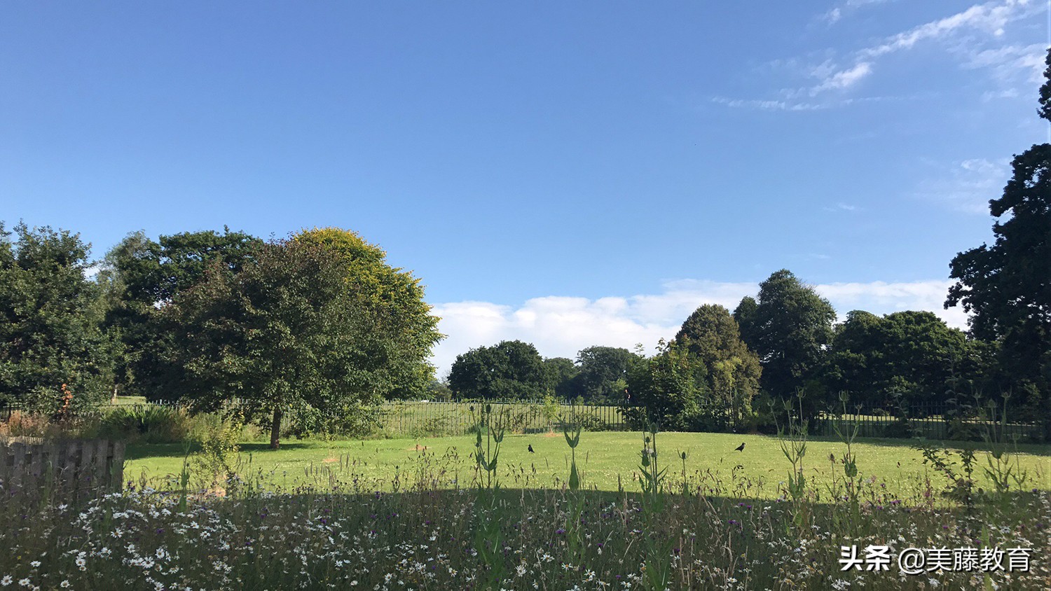 留学费用比较_英国澳洲美国新西兰留学花费_到英国留学一年的费用