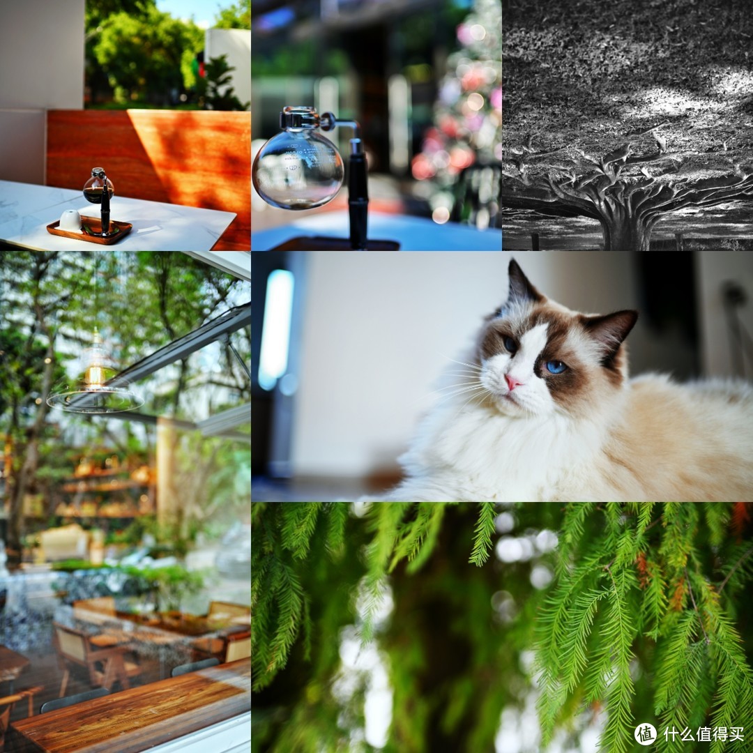 二手相机推荐_2025最好的长焦数码相机_摄影器材入门