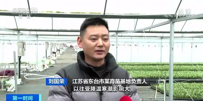 东台西瓜育苗基地_智能温室大棚西瓜苗培育_温室大棚蔬菜利润