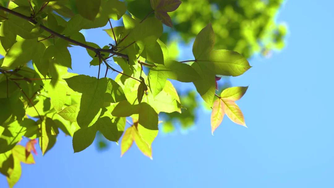 上城区空调维修_上城区城管驿站夏送清凉_杭州高温预警
