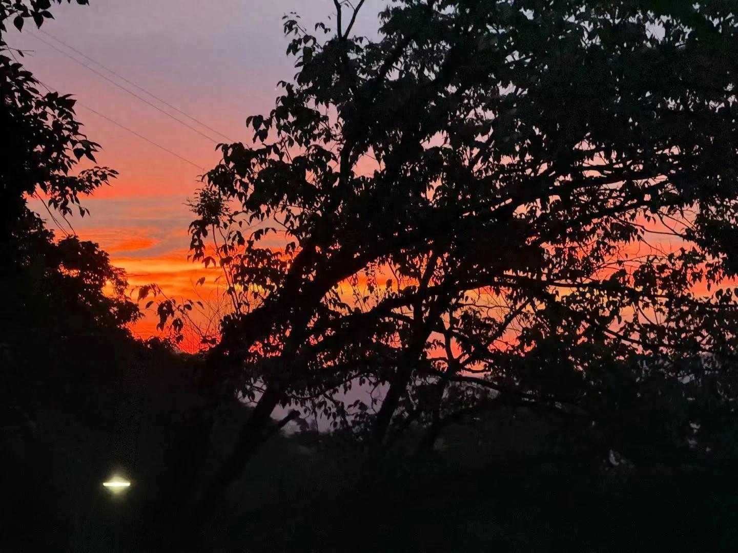 企业年金收益计算_职业年金投资收益率地区差异_职业年金记账利率查询