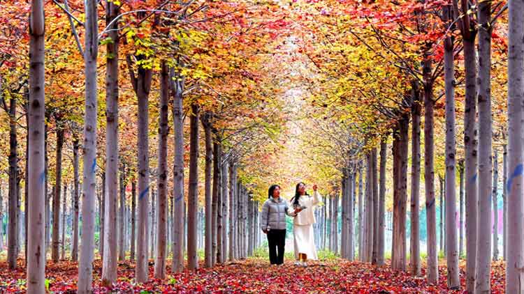 定制家具交付延迟 商家违约 顾客投诉_定制家具厂家