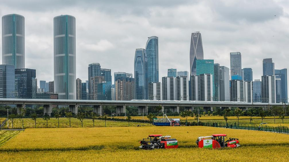 定制家具厂家_定制家具交付延迟 商家违约 顾客投诉