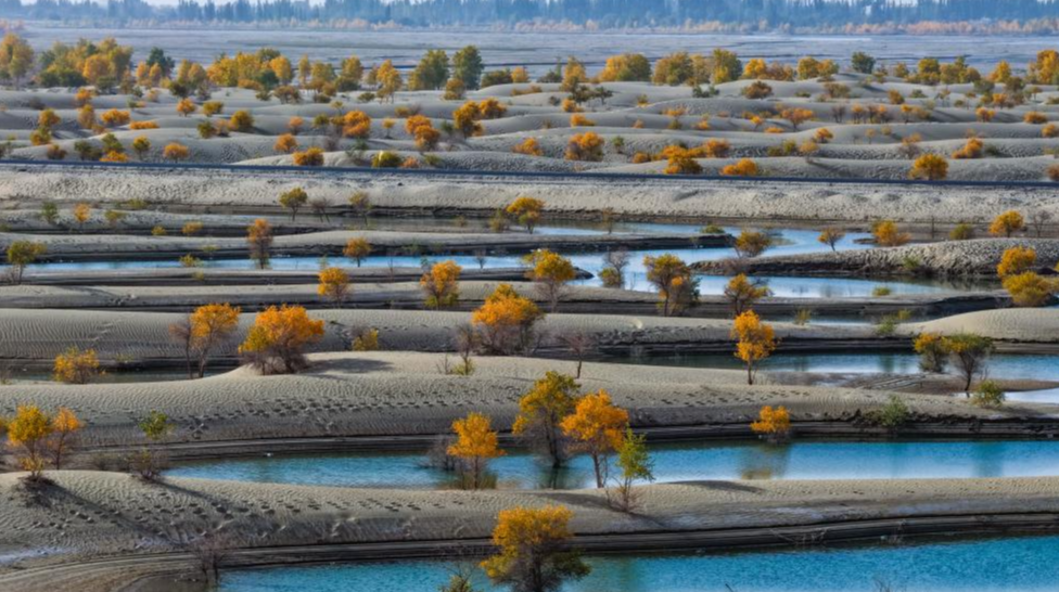 定制家具交付延迟 商家违约 顾客投诉_定制家具厂家