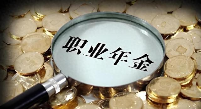 职业年金投资收益计算_企业年金收益计算_退休教师职业年金差异
