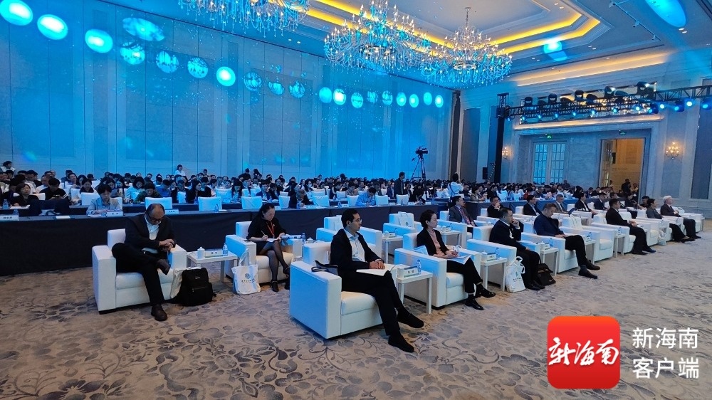 全球医院网络科技管理协会_2025海南医院大会 首届 医疗改革