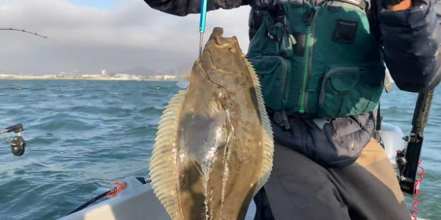 男子钓到5斤多的“鸦片鱼”，看起来真肥，只是吃法让人不能接受