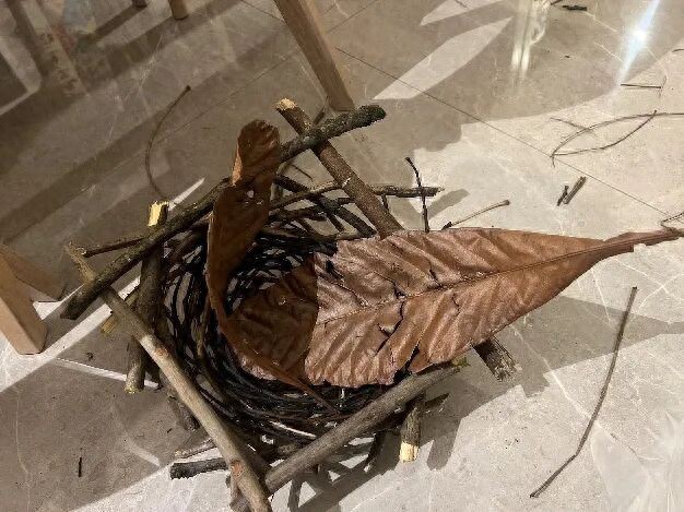 手工作业太“费妈”!母子纯手工搭建鸟窝 惊艳了幼儿园家长们(图1) 幼儿园手工作业家长压力大_手工鸟窝制作过程分享_手工装饰