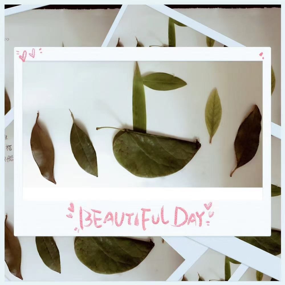 手工作业太“费妈”!母子纯手工搭建鸟窝 惊艳了幼儿园家长们(图5) 幼儿园手工作业家长压力大_手工装饰_手工鸟窝制作过程分享