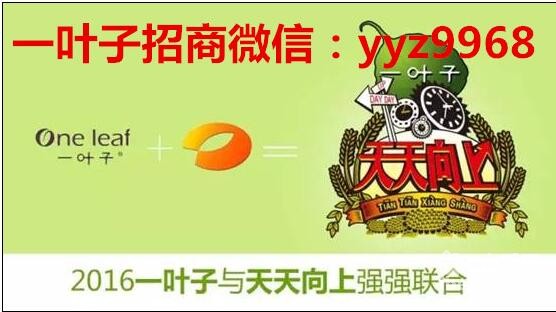 韩束一叶子面膜招商加盟_红悠团队一叶子代理_韩束一叶子面膜报价