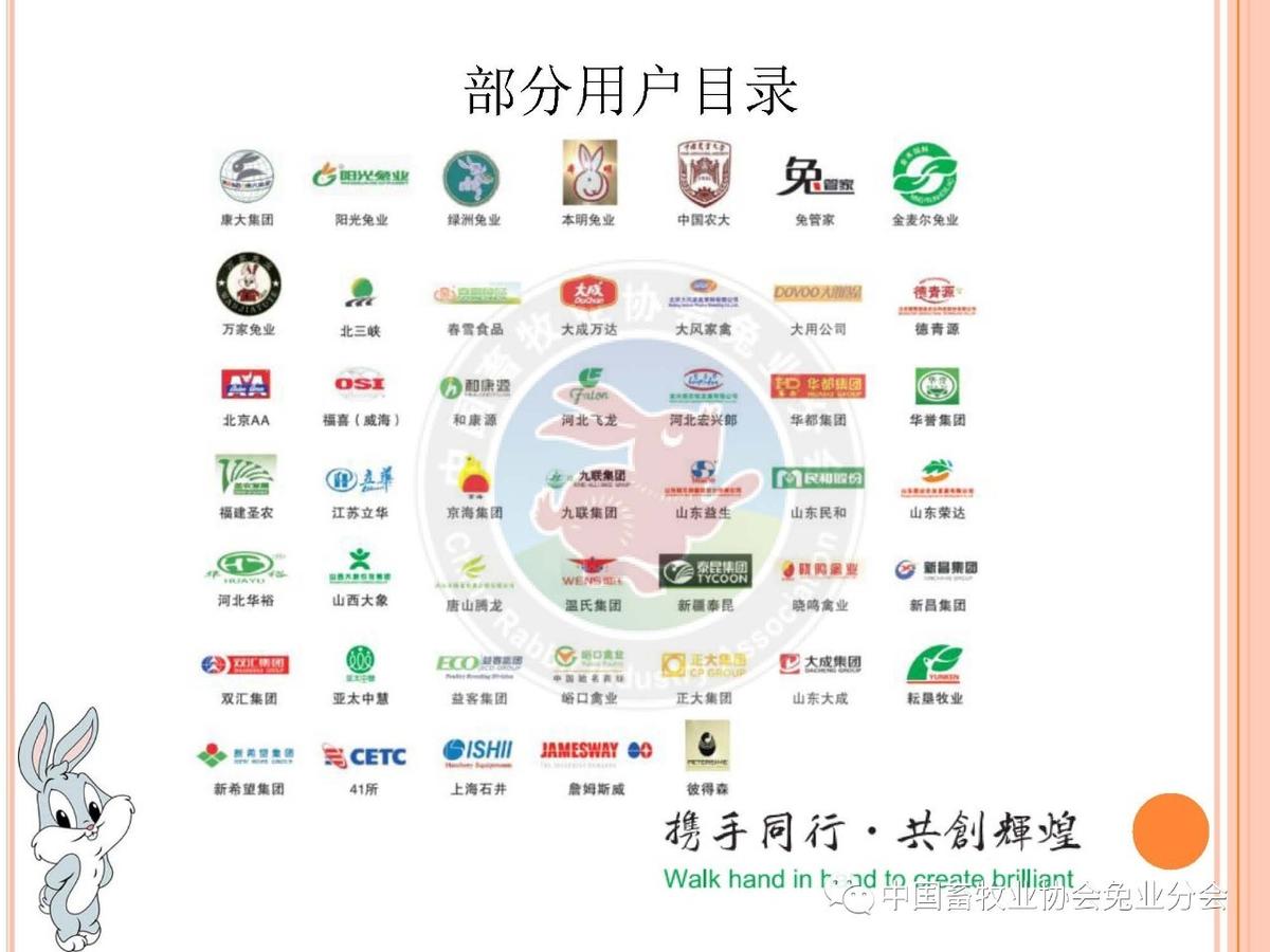 养兔成本收益分析_养兔市场前景广阔_中国养兔网最新兔价