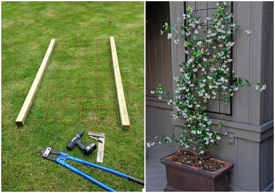 废旧铁丝不要扔,拧几下能当花架子,养花种菜更简单,反正不花钱(图2) 阳台木花架_DIY铁丝花架子_废旧铁丝制作花架教程