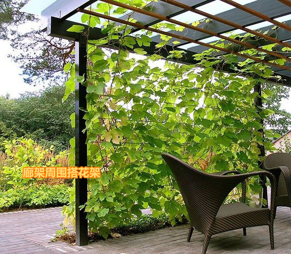 废旧铁丝不要扔,拧几下能当花架子,养花种菜更简单,反正不花钱(图5) 阳台木花架_废旧铁丝制作花架教程_DIY铁丝花架子