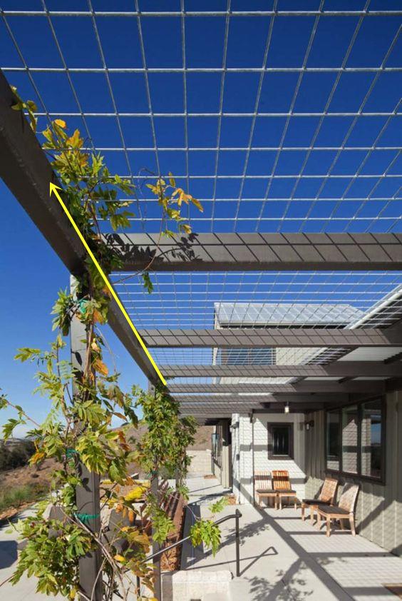 废旧铁丝不要扔,拧几下能当花架子,养花种菜更简单,反正不花钱(图6) DIY铁丝花架子_废旧铁丝制作花架教程_阳台木花架