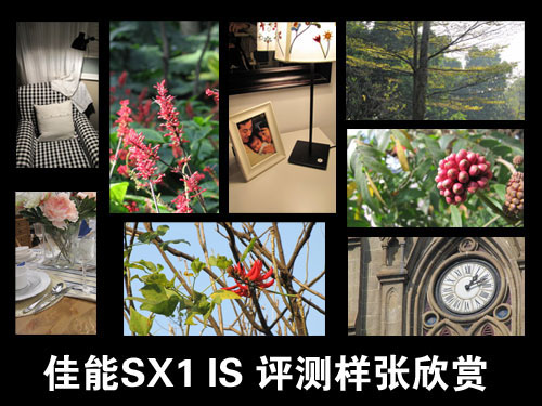 佳能SX1 IS完全使用指南1