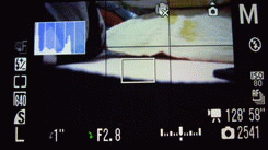 佳能SX1 IS完全使用指南2