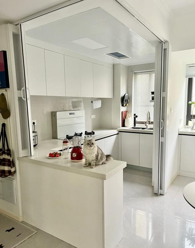 “厨房推拉门”已经退出中国家庭,现在流行这样做,高级又实用!(图12) 厨房做移门,门套多宽_折叠门安装注意事项_厨房推拉门缺点