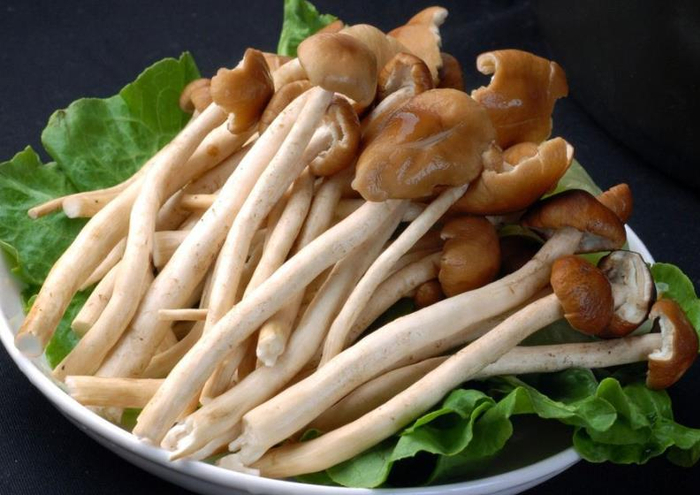 茶树菇煲鸡汤怎么用烤箱烤鱼_老母鸡汤搭配茶树菇鱼丸的做法_茶树菇鱼丸鸡汤做法