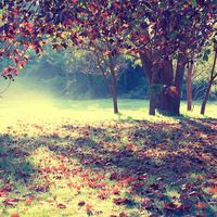 液晶屏亮线维修_电脑屏幕亮线_花屏产生原因