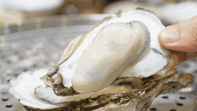 鲁菜没落原因_鲁菜图片高清_鲁菜八大菜系地位