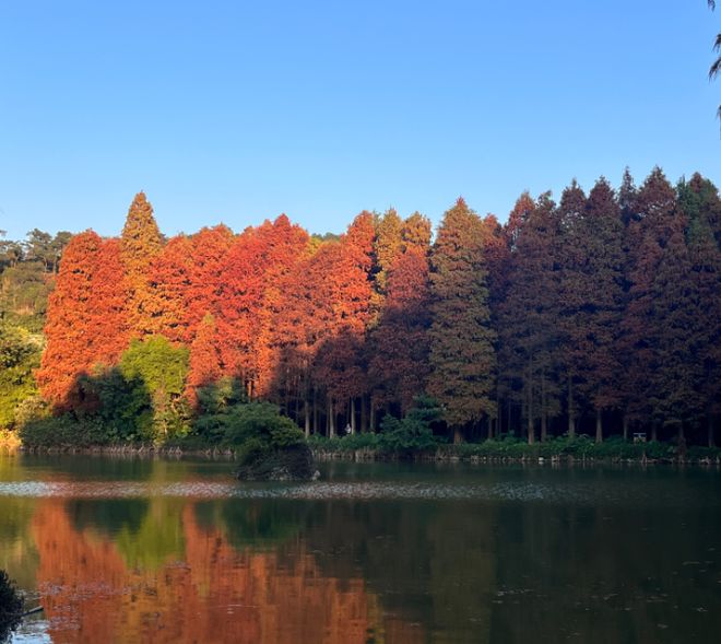 肇庆七星岩美食_肇庆七星岩景点介绍_肇庆七星岩旅游攻略