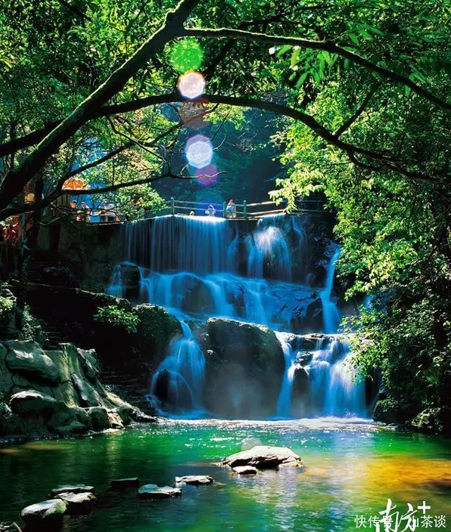 山水、运动与美食!这个暑假,来肇庆欢乐一“夏”(图3) 肇庆七星岩美食_肇庆夏季旅游活动_星湖景区暑期优惠