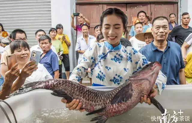 山水、运动与美食!这个暑假,来肇庆欢乐一“夏”(图9) 肇庆七星岩美食_肇庆夏季旅游活动_星湖景区暑期优惠
