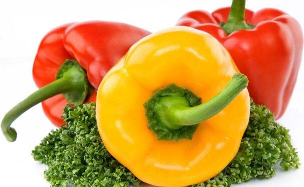 菜椒的功效与作用(图1) 菜椒的营养价值