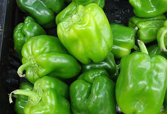 菜椒的功效与作用(图3) 菜椒的营养价值