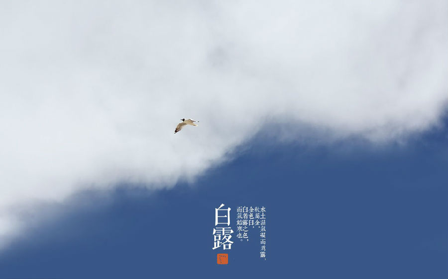 淘新闻全新上线美食频道,做饭也能挣零花(图1) 分类:美食/烹饪_秋季食疗养生_淘新闻美食频道