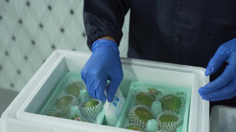 只有好“丰”景怎够?威海无花果走出门夺得“俏”市场(图3) 无花果图片大全和价钱_摩天岭无花果现代农业产业示范园_威海无花果产业转型升级