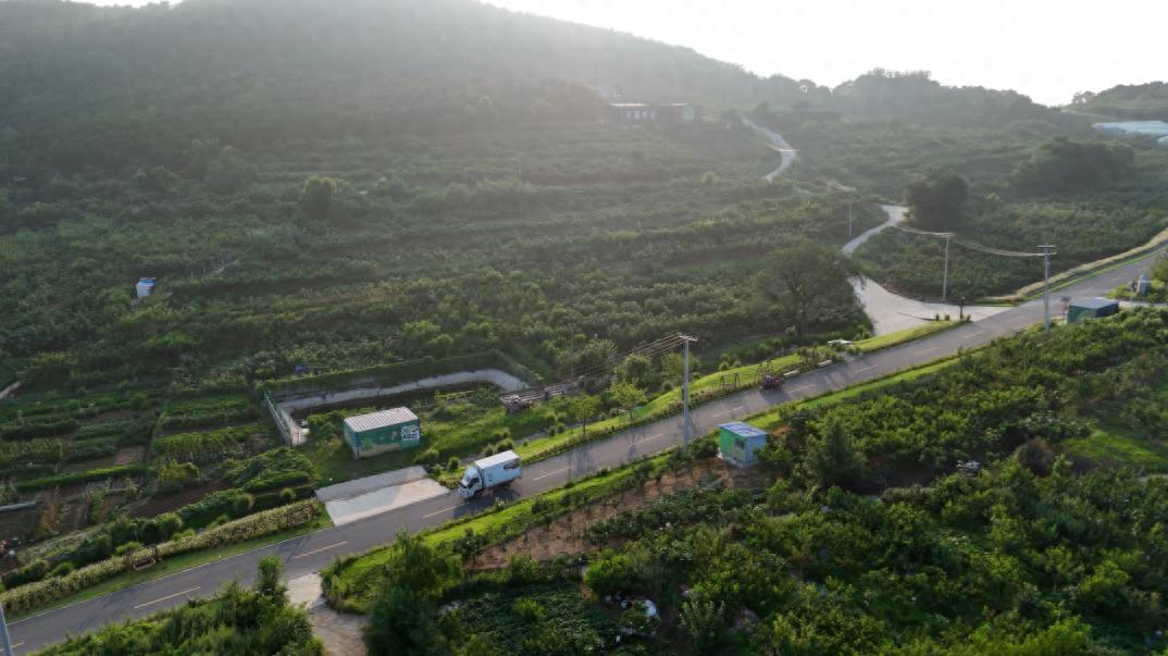 威海无花果产业示范园_无花果图片大全和价钱_威海摩天岭无花果现代农业