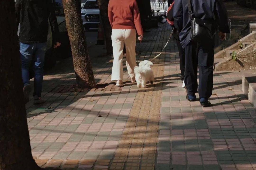 赞爆!彩虹般的广州地铁!附4大站点美食地图,快跟着一站站打卡!(图39) 广州地铁4号线美食_广州地铁线路颜色_广州地铁各线路特色站点