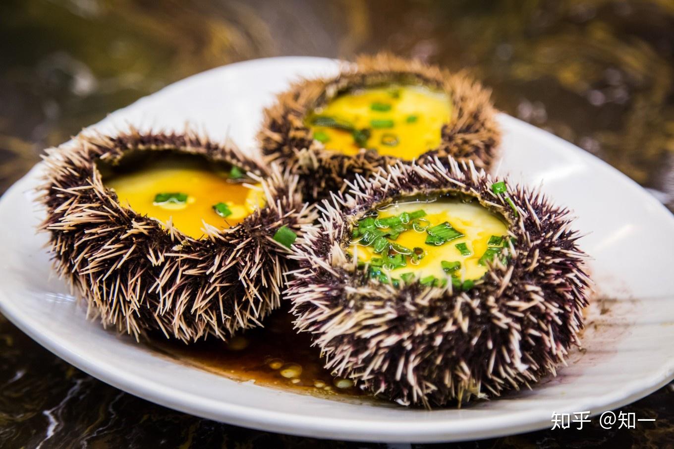 三亚超详细旅游攻略(内含行程与酒店)(图31) 三亚旅游攻略_三亚野生海鲜_三亚酒店推荐