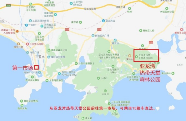 三亚旅游攻略(含行程推荐交通住宿指南)(图6) 三亚旅游区域划分_三亚野生海鲜_三亚各大湾区区别