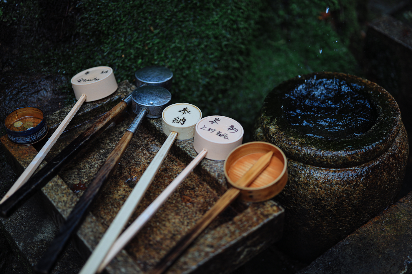 佳能RF 50mm F1.2L USM全开光圈画质_RF 50mm F1.2L USM暗光室内拍摄表现_佳能最新镜头