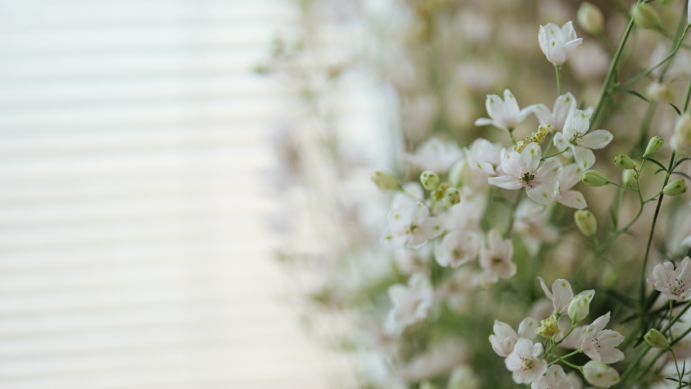 佳能最新镜头_RF 50mm F1.2L USM暗光室内拍摄表现_佳能RF 50mm F1.2L USM全开光圈画质