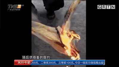 腐竹烧肉热量为什么那么高_腐竹主要成分_腐竹燃烧真相