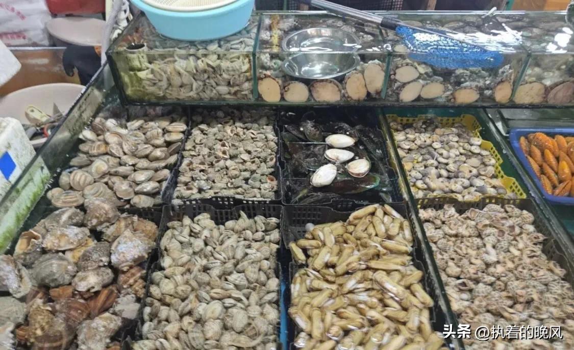 广西金桥国际海鲜水产城 试营业 西南最大海鲜水产交易综合体_北海干海鲜批发市场