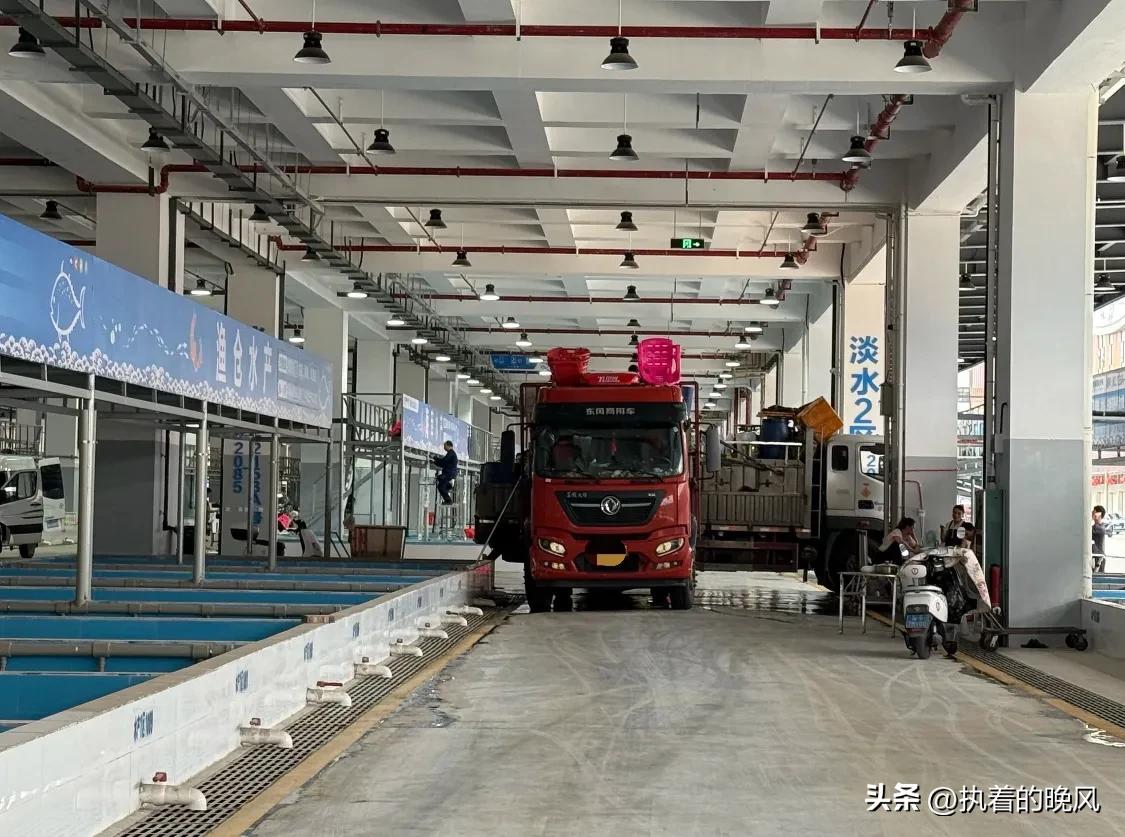 广西金桥国际海鲜水产城 试营业 西南最大海鲜水产交易综合体_北海干海鲜批发市场