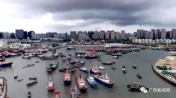 开海后,广西最新海鲜价格是这样的……(图1) 北海干海鲜批发市场_北海开海后海鲜市场行情_防城港开海节海鲜价格