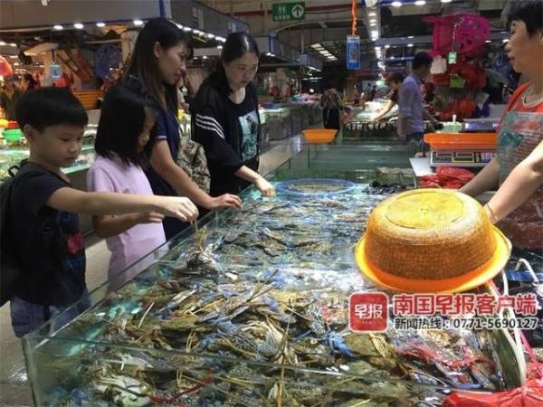 开海后,广西最新海鲜价格是这样的……(图12) 北海开海后海鲜市场行情_防城港开海节海鲜价格_北海干海鲜批发市场